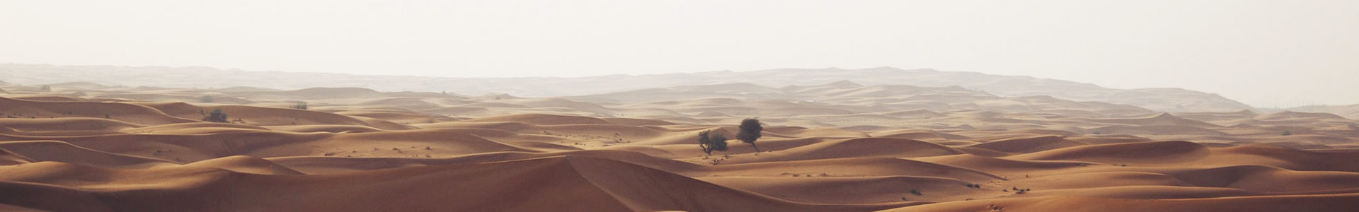 ݹܵ޹˾
